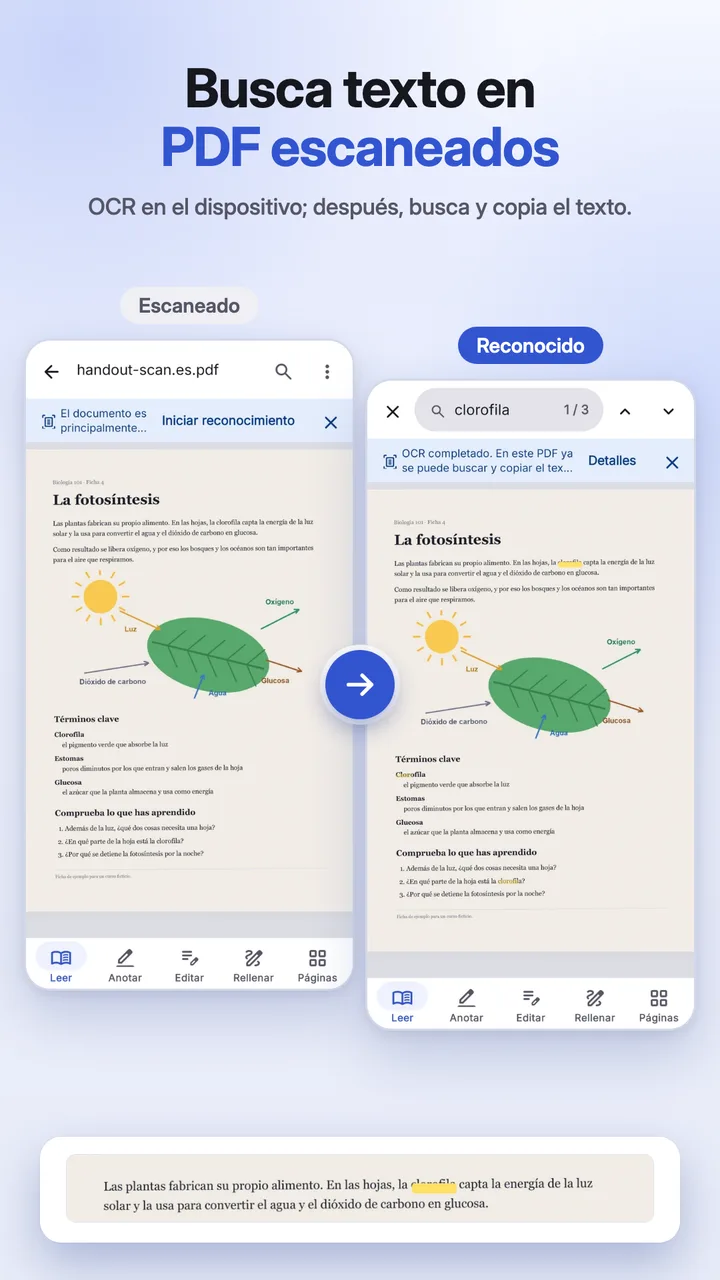 Búsqueda en un escaneo, con el texto reconocido encontrado