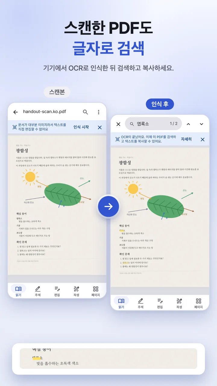 스캔을 검색해 인식된 글자를 찾는 장면