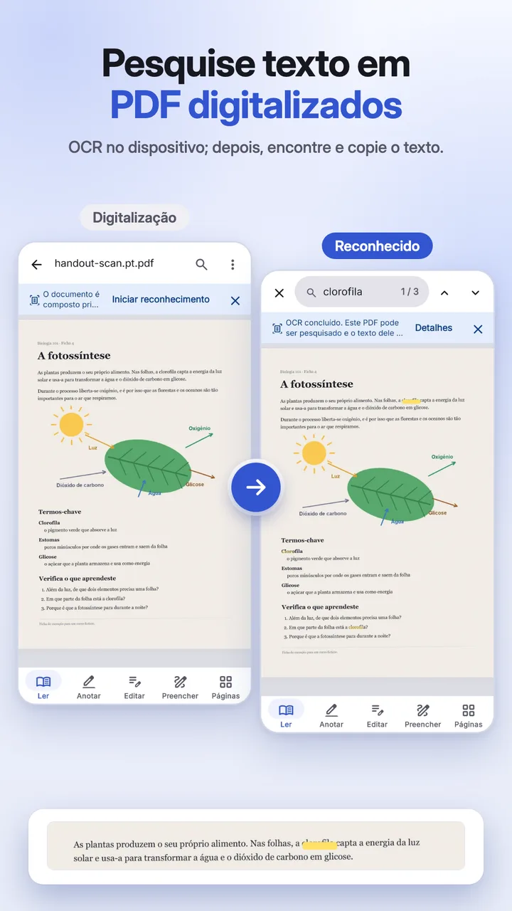 Pesquisa numa análise, com o texto reconhecido encontrado